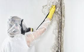 Best HVAC Mold Inspection and Cleaning  in Rson, CA